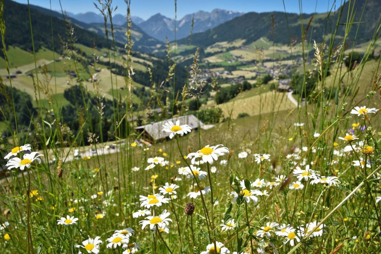 Apartamento Haus Dorferstuck Alpbach Exterior foto